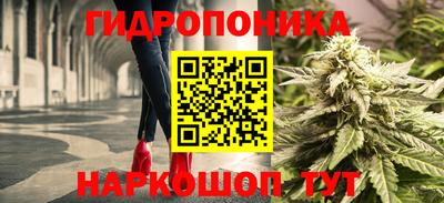 МДПВ Кингисепп