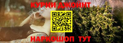 МДПВ Кингисепп