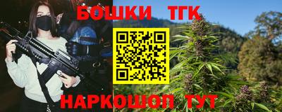 МДПВ Кингисепп