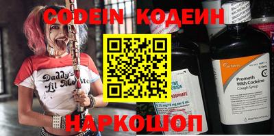 МДПВ Кингисепп