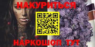 МДПВ Кингисепп