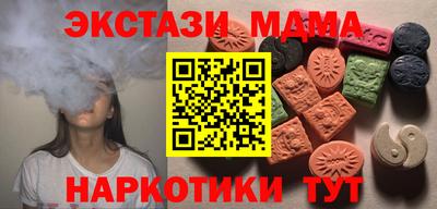 МДПВ Кингисепп