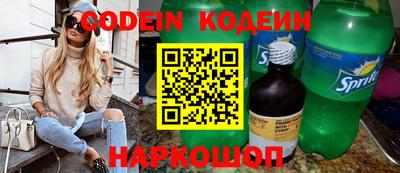 МДПВ Кингисепп