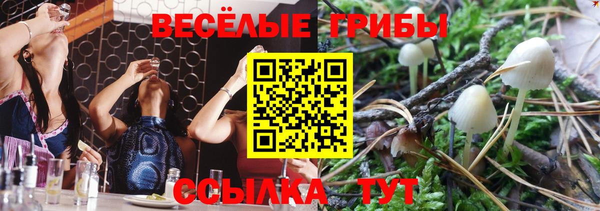 Георгиевск  Псилоцибиновые грибы ЛСД  Вход с VPN 